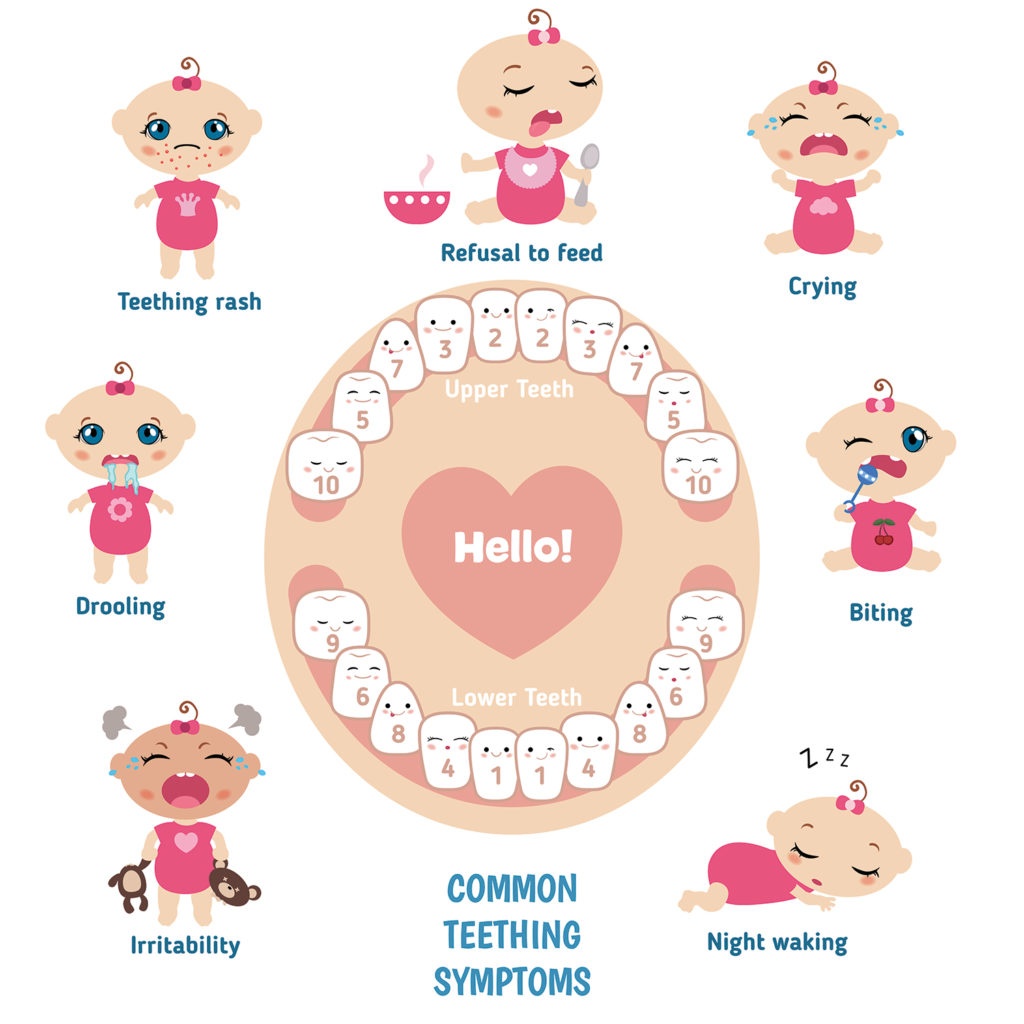 teething help for 5 month old