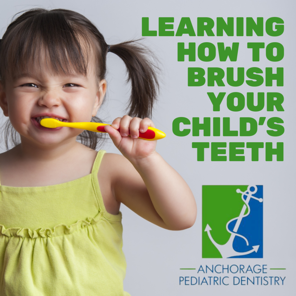 How to Brush Your Teeth, Children's Dental Health of Lynchburg